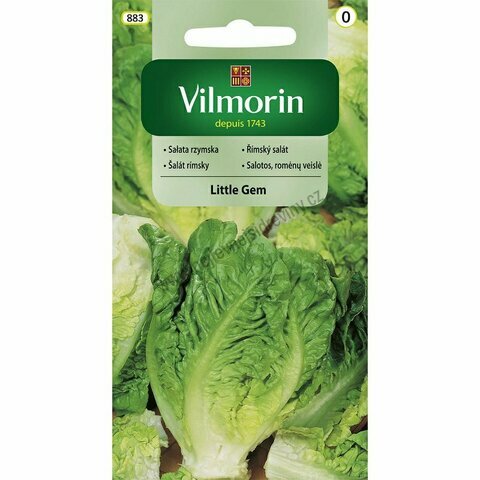 Vilmorin CLASSIC Salát římský LITTLE GEM - časný 0,5 g